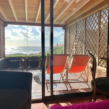 La Lagartija Adults Only Ajo