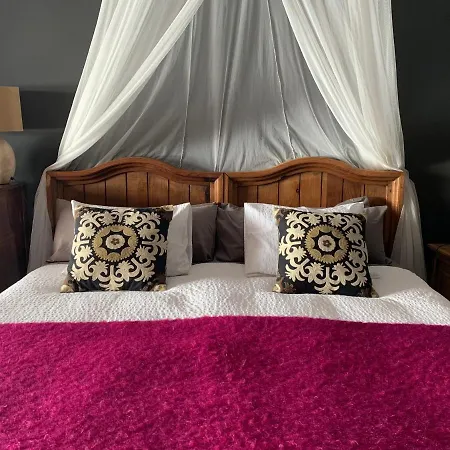 La Lagartija Adults Only 4*