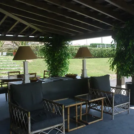 La Lagartija Adults Only 4*