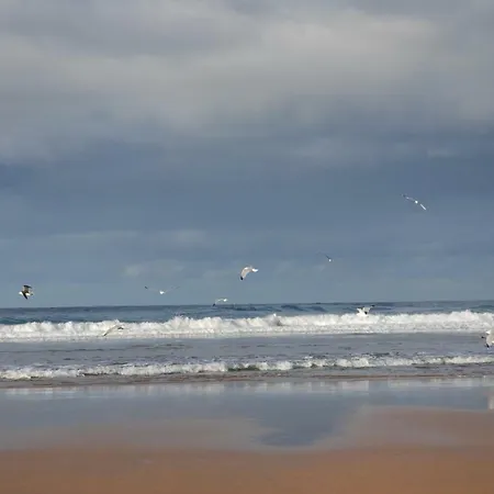 Casa de hóspedes La Lagartija Adults Only 4*