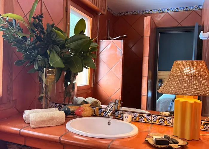 La Lagartija Adults Only 阿霍