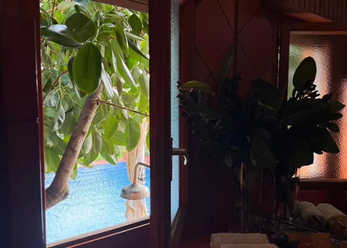 La Lagartija Adults Only