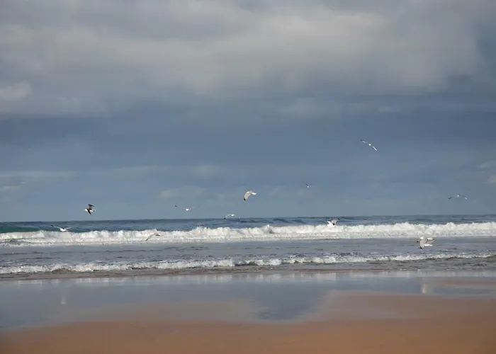 Penzion La Lagartija Adults Only 4*