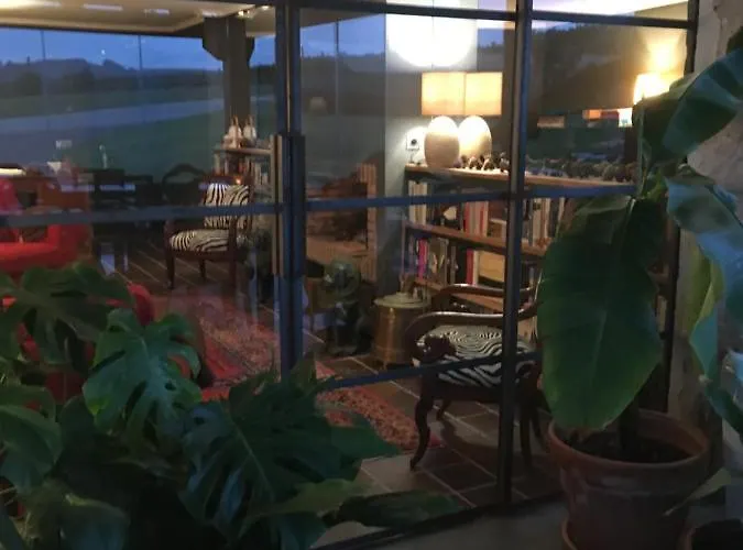 La Lagartija Adults Only Ajo