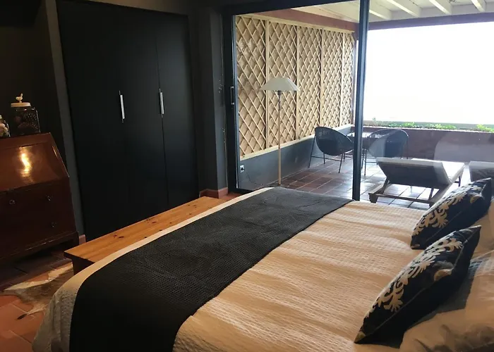 La Lagartija Adults Only 4*