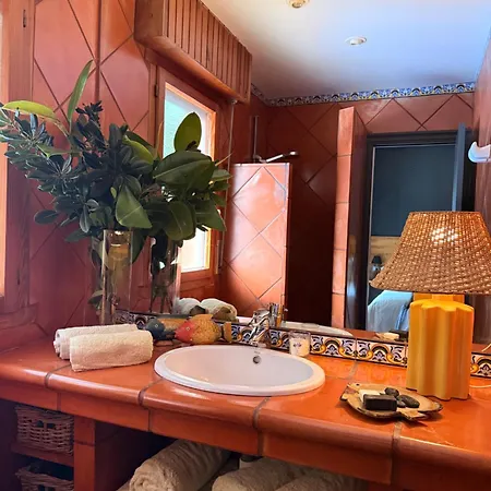 La Lagartija Adults Only Ajo