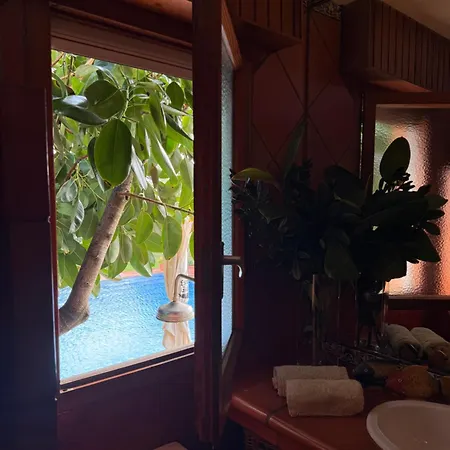 La Lagartija Adults Only