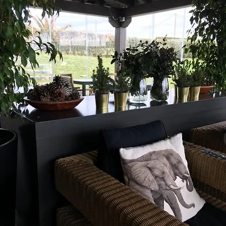 La Lagartija Adults Only Guest house 4*