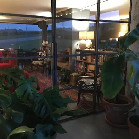 La Lagartija Adults Only Ajo