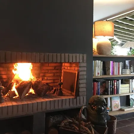 La Lagartija Adults Only Vendégház 4*