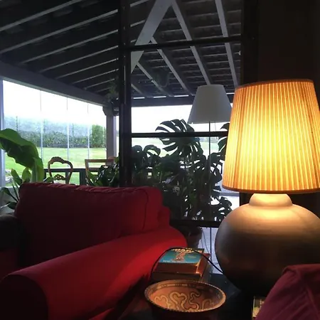 La Lagartija Adults Only Guest house Ajo