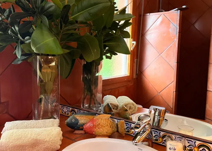 La Lagartija Adults Only Guest house