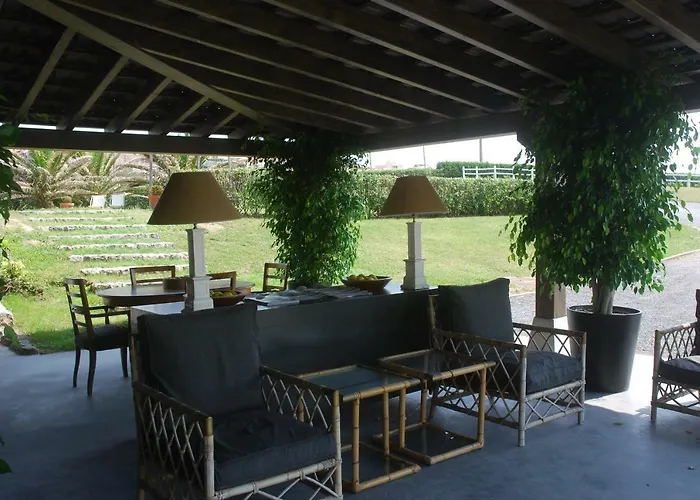 La Lagartija Adults Only 4*